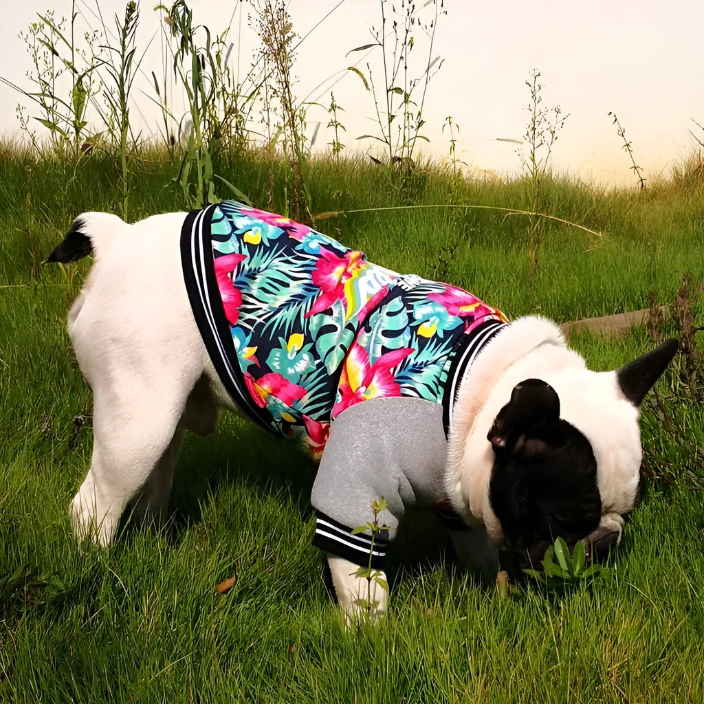 Red stretch printed two-legged dog clothes for pitbull with cotton fleece lining on a light background