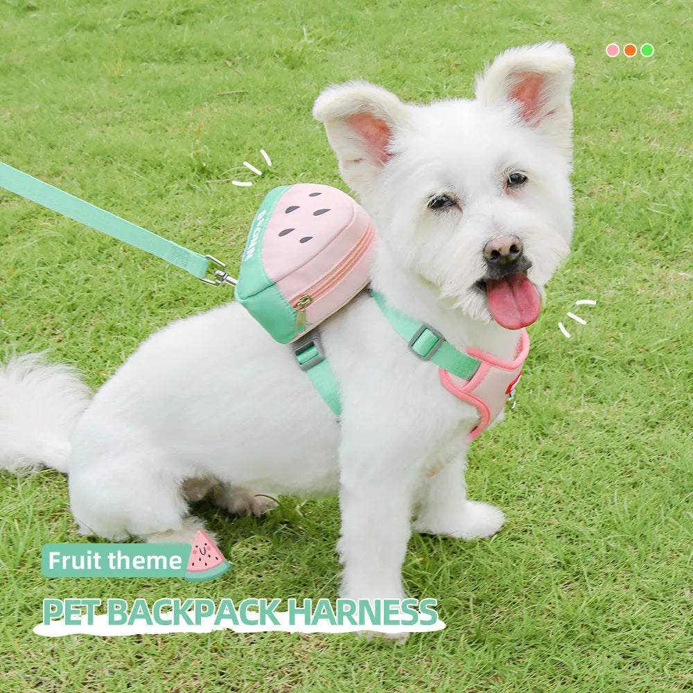 Green anti-slip pet chest strap and backpack set for a dog with a traction rope.