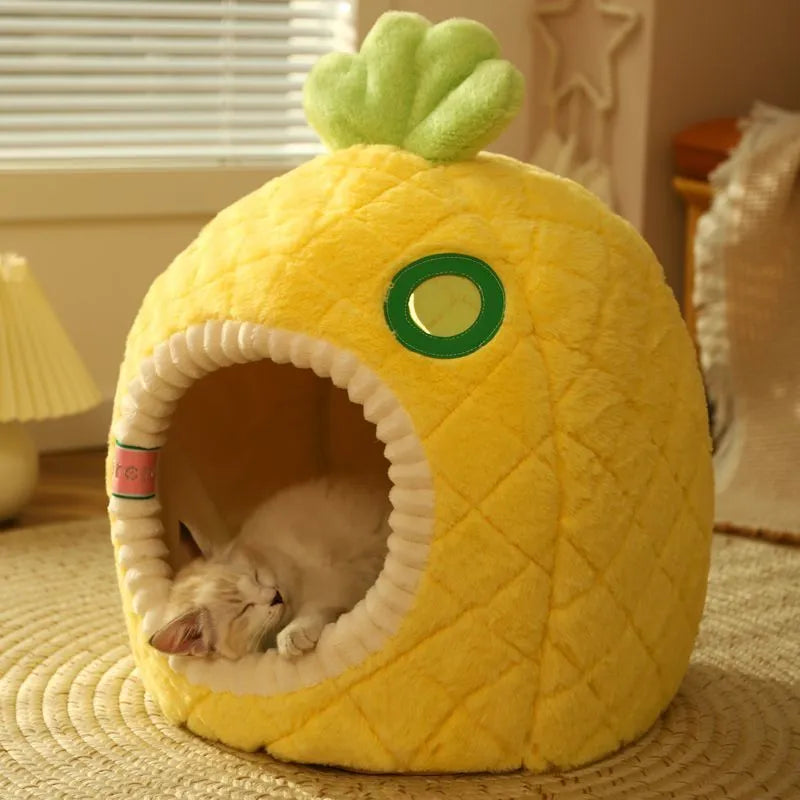 Winter warm tent pet closed nest in pineapple style for small cats under 4kg