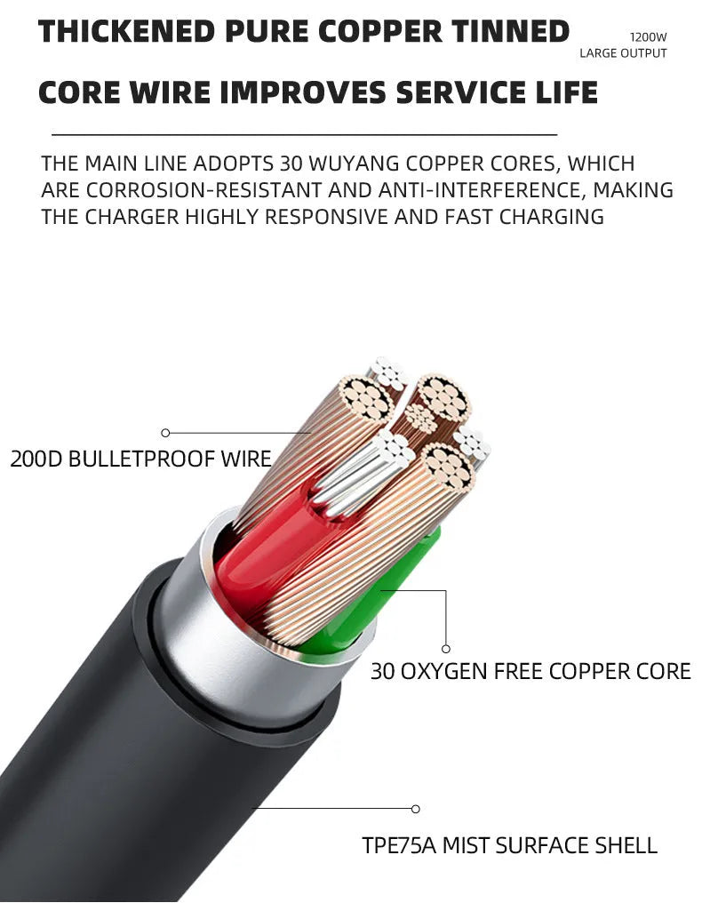 BT 168 12V and 24V automobile battery charger with American Standard plug.