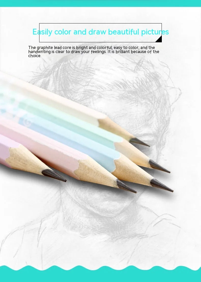 Barrel of 50 basswood hexagonal pencils with HB graphite refills, showing six-angle design.