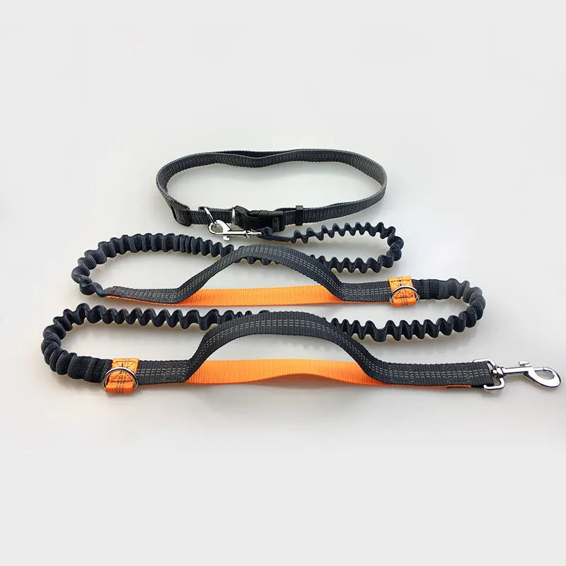 Reflective hands-free dog lead with elastic bungee, waist belt and phone pocket, adjustable 160-260cm