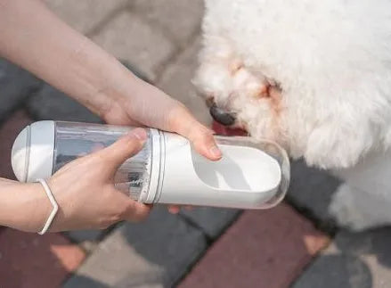 Blue pet travel cup 330ml with filter element next to a dog on a walk