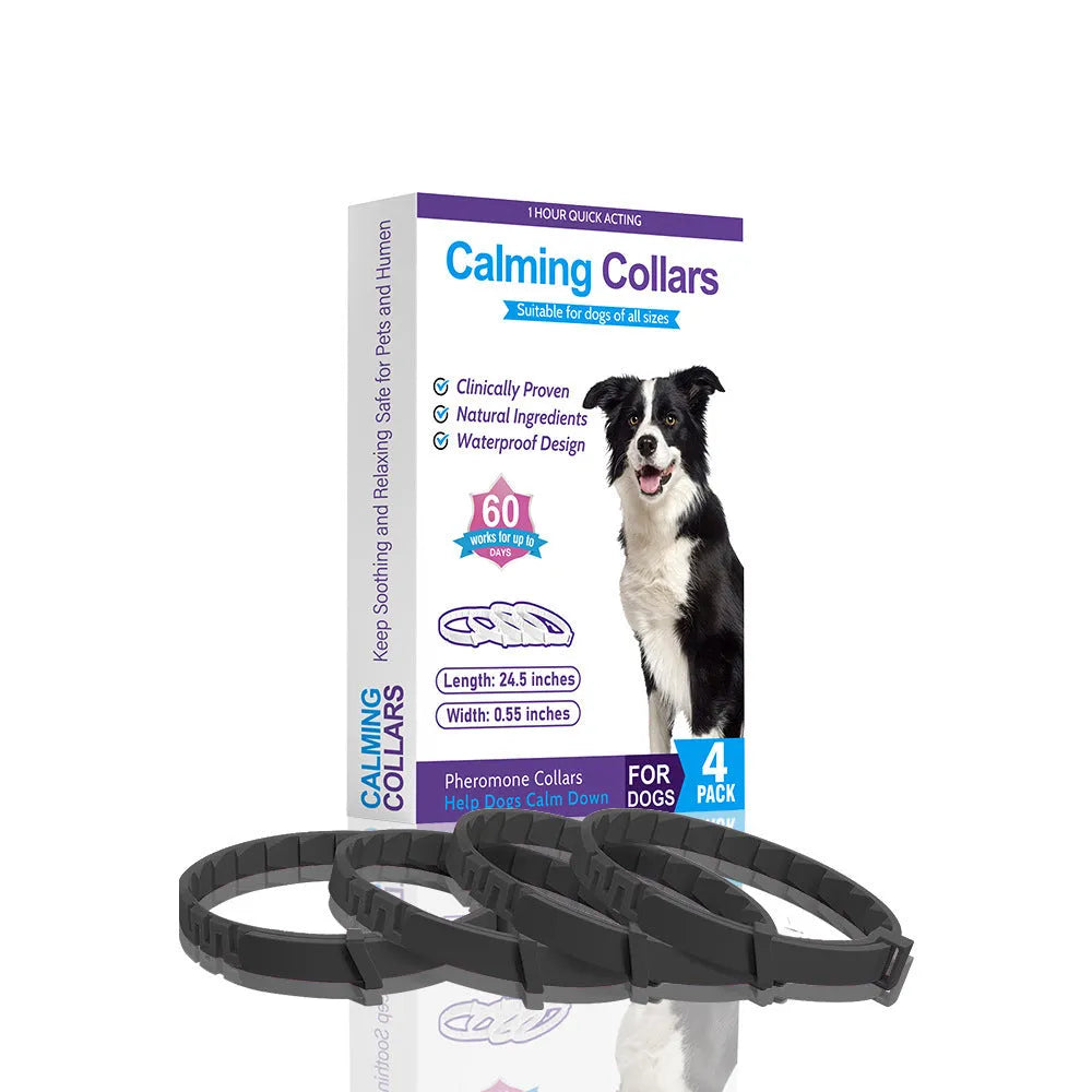 Pack of four solid-colour TPR dog calming collars with buckles, shown in assorted colours.