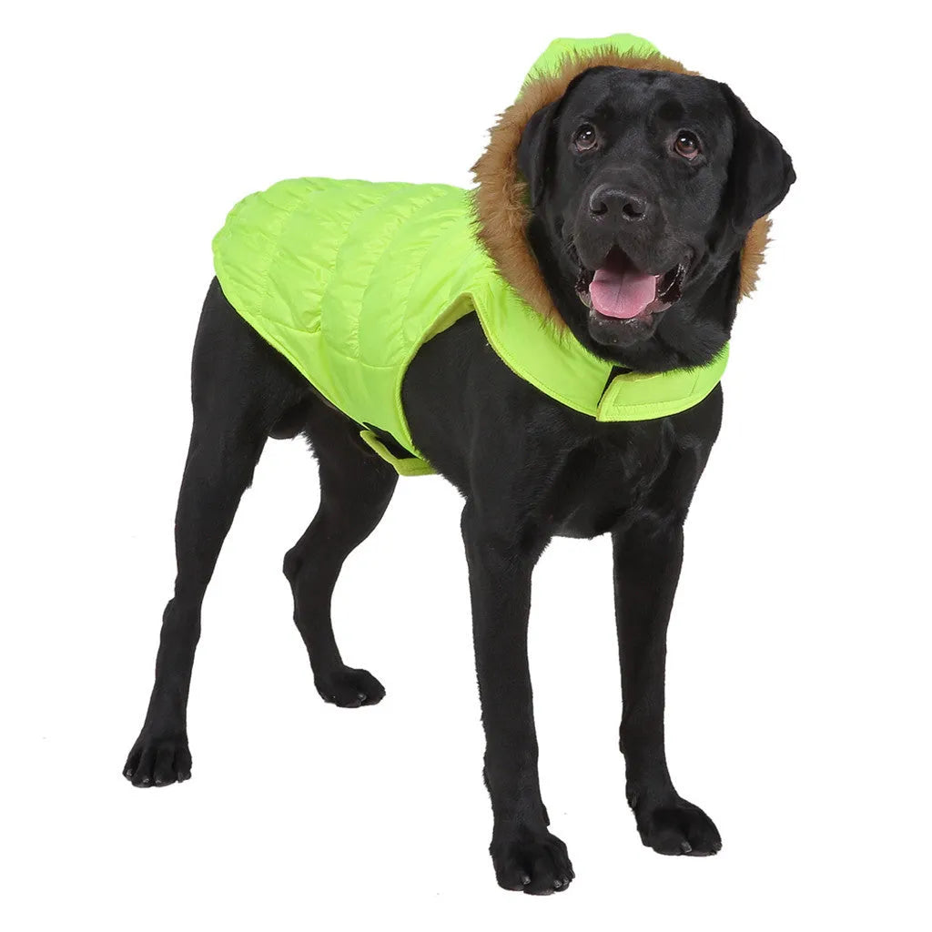 Reflective winter dog coat in blue or green, polyester, sizes S to XXL for large dogs