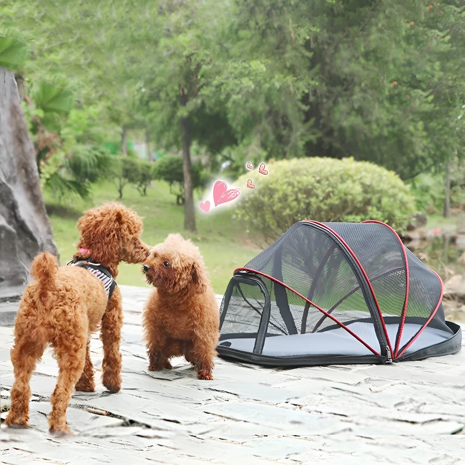 Portable black and mesh folding tent for cats shown set up as a pet bed and travel cage.