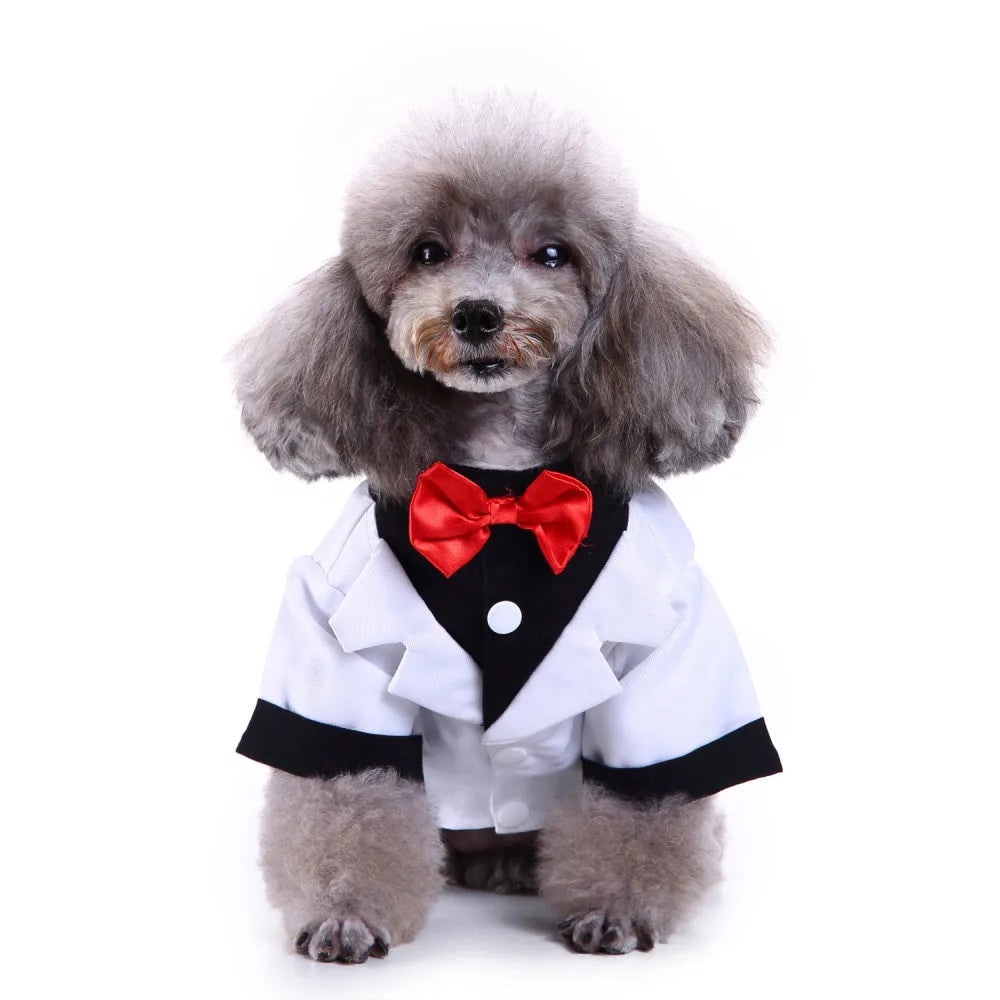Polyester England style pet dog suit in Black tie, Blue bow tie, Striped dovetail, Striped suit, or White tie, sizes S to XL