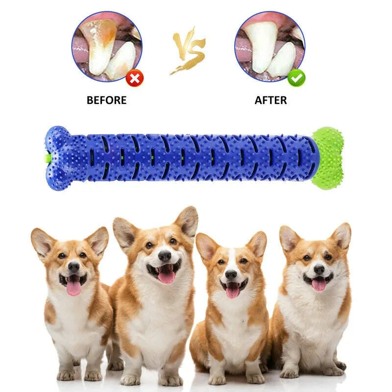 Blue and green dog chew toy toothbrush with treat dispenser on white background
