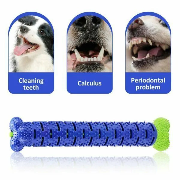Blue and green dog chew toy toothbrush with treat dispenser on white background
