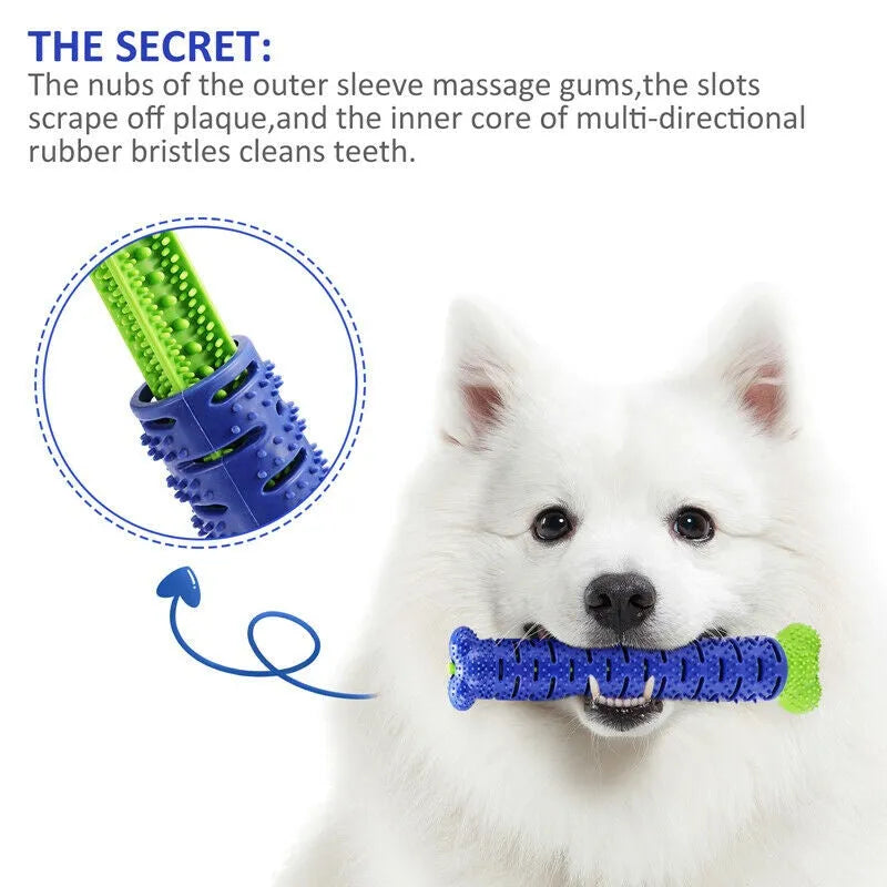 Blue and green dog chew toy toothbrush with treat dispenser on white background