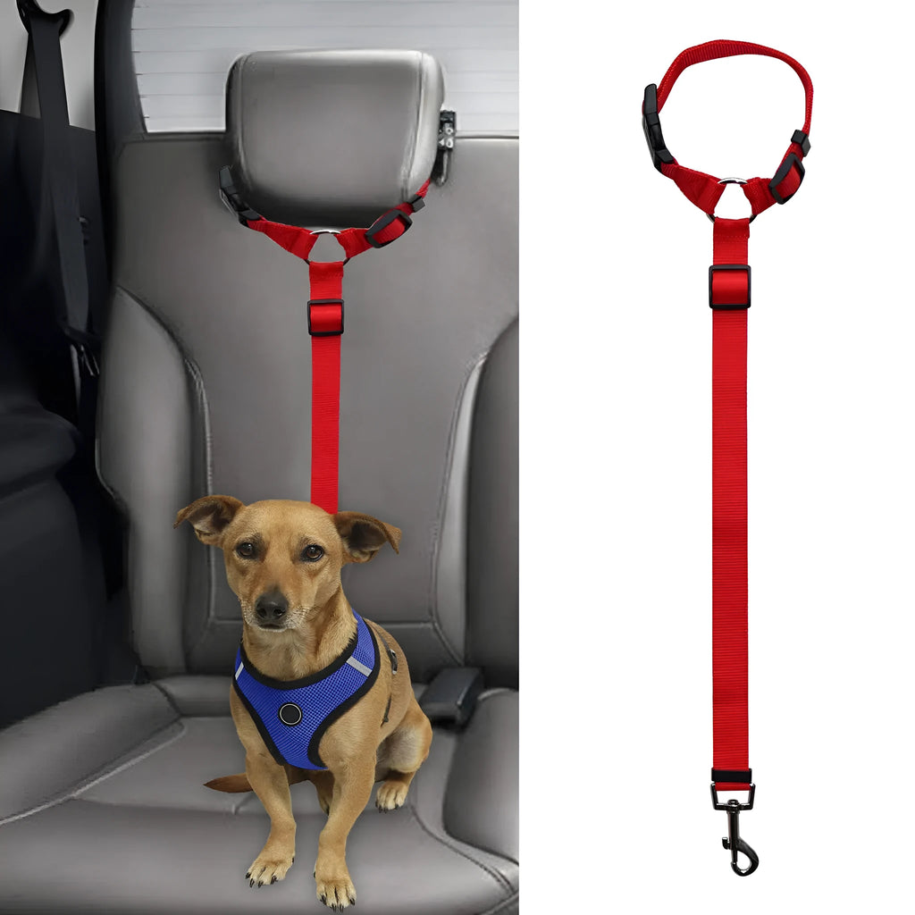 Pet safety leash made from nylon in expandable traction belt design, colour options include black