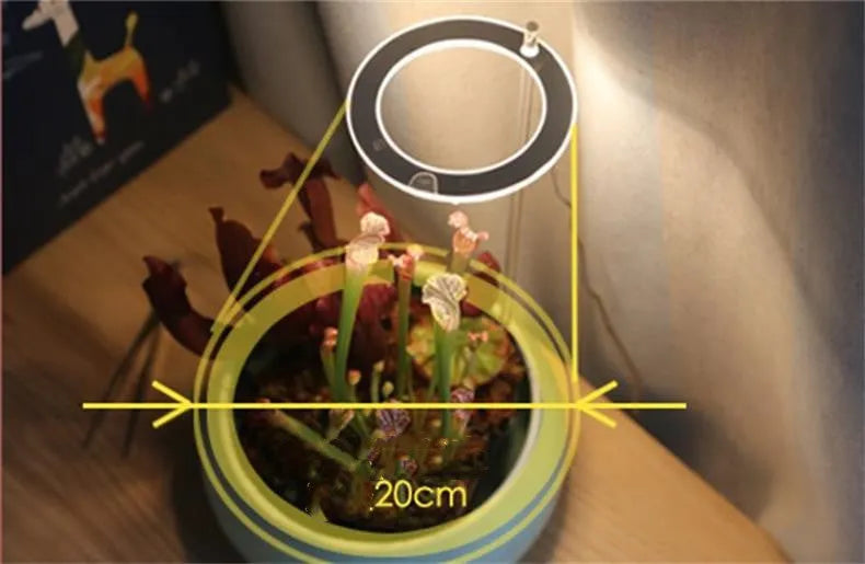 USB LED full spectrum grow light for indoor plants with transparent body and aluminium components