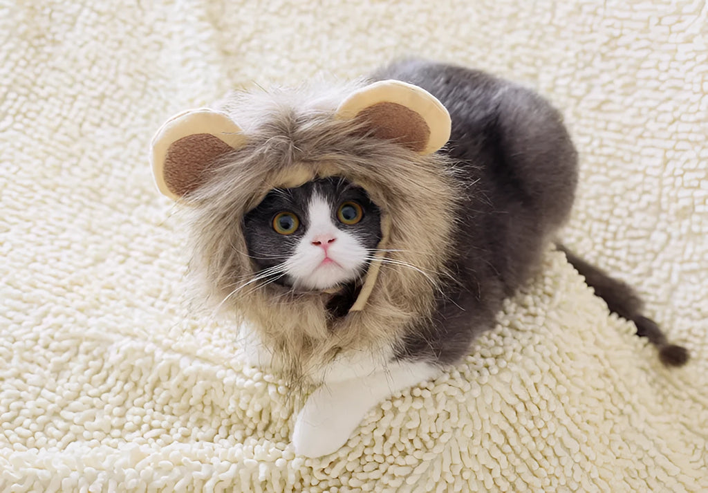 Non-woven yellow lion headgear cat hat pullover for 28-38cm neck circumference