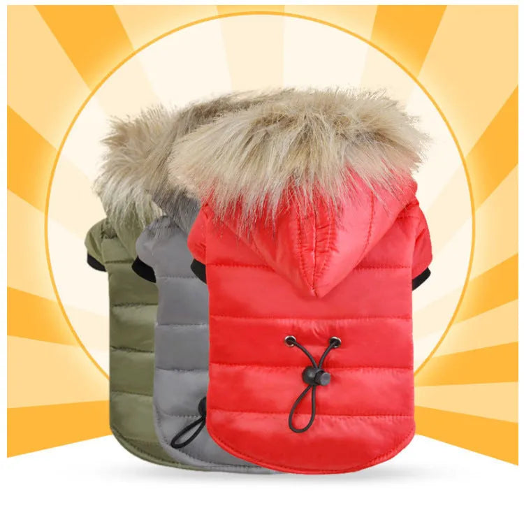 Cotton pet down jacket in assorted colours, antibacterial and anti-mite, sizes XS to XXL for dogs