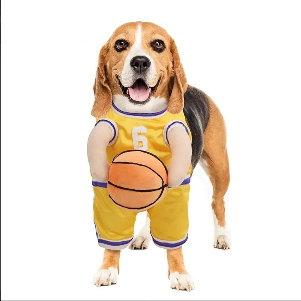 Red dog wearing a basketball costume with a matching basketball accessory.