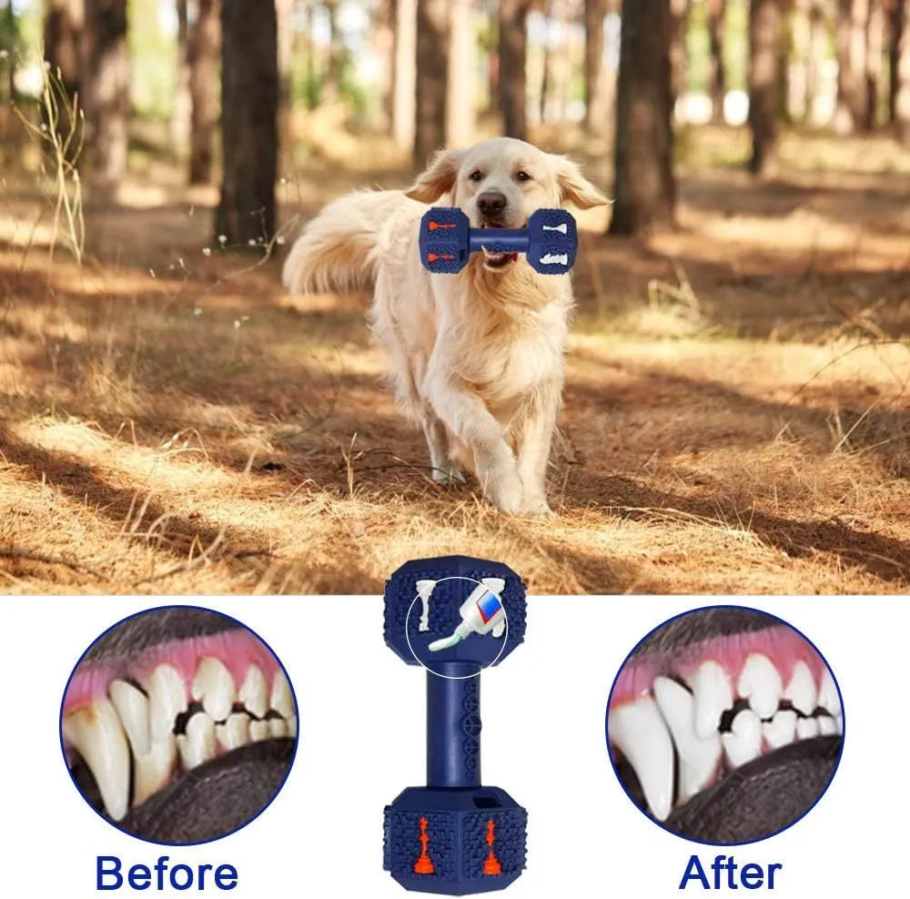 Heavy black rubber dumbbell dog chew toy with textured surface and hollow ends on a white background.