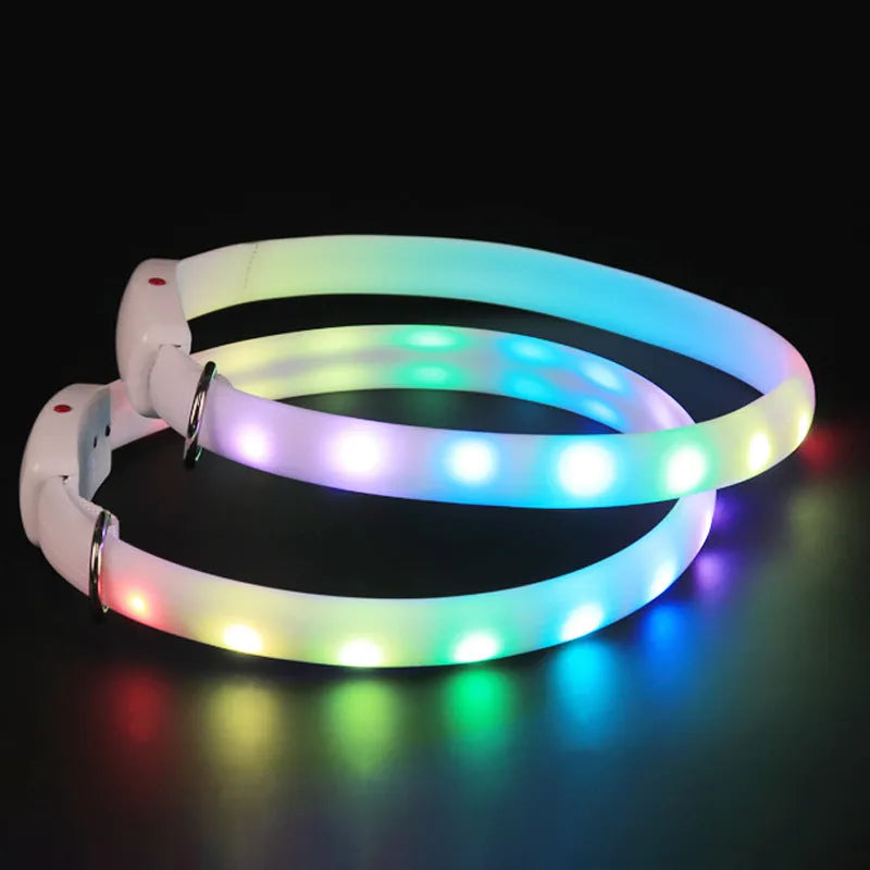 White USB rechargeable LED dog collar with glowing lights on a dog, adjustable 60cm safety collar for night walking