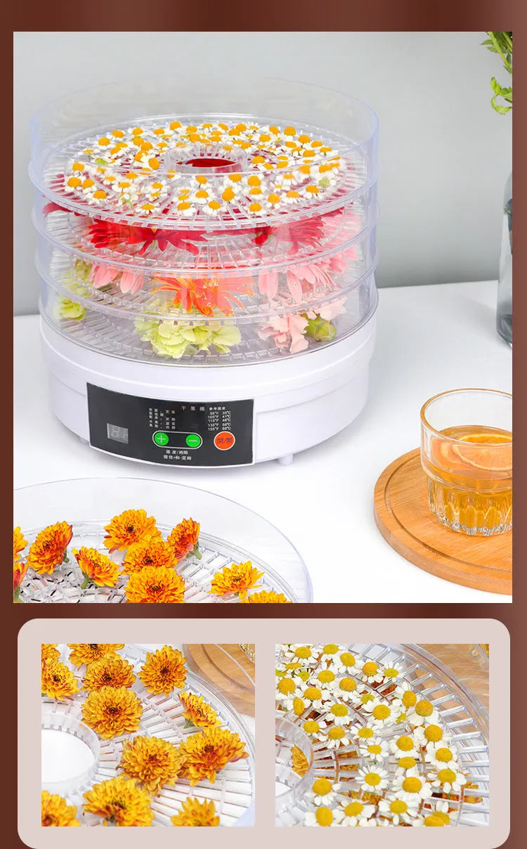 Household food dehydrator with multiple shelf layers and international plug compatibility options