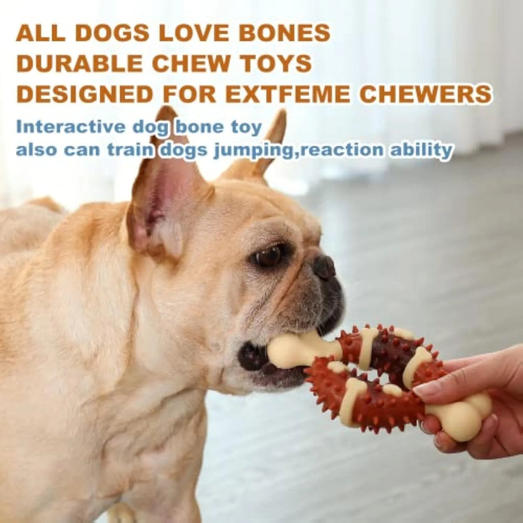 Bone-shaped natural rubber dog molar chew toy in two sizes for teeth grinding and anxiety relief.