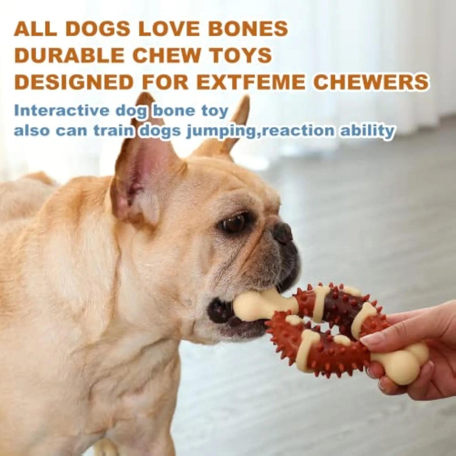 Bone-shaped natural rubber dog molar chew toy in two sizes for teeth grinding and anxiety relief.