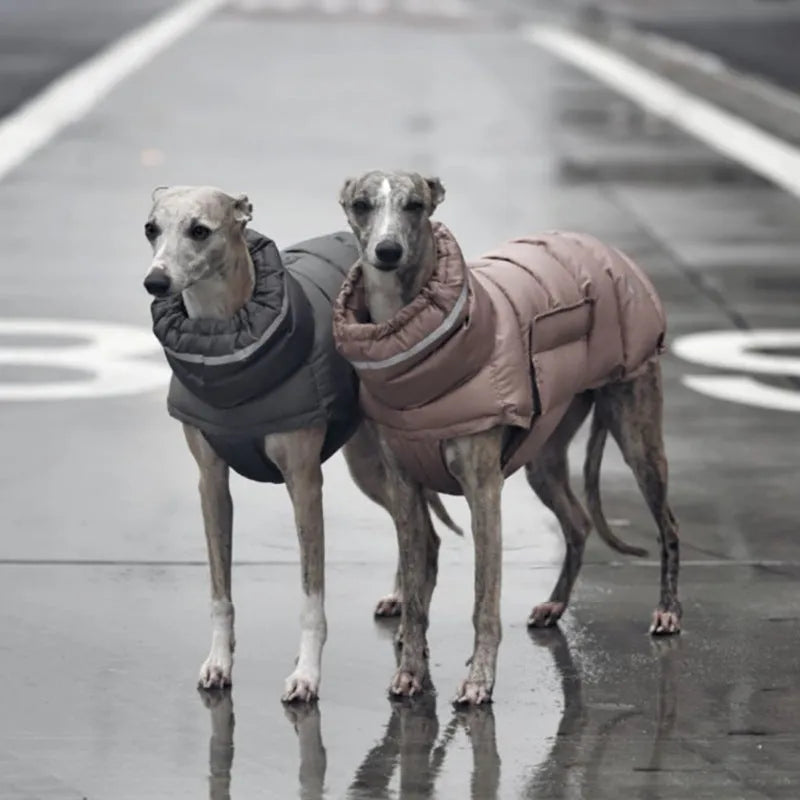 Thickened thermal dog vest in dark grey, made from recycled polyester, available in sizes S to XL.