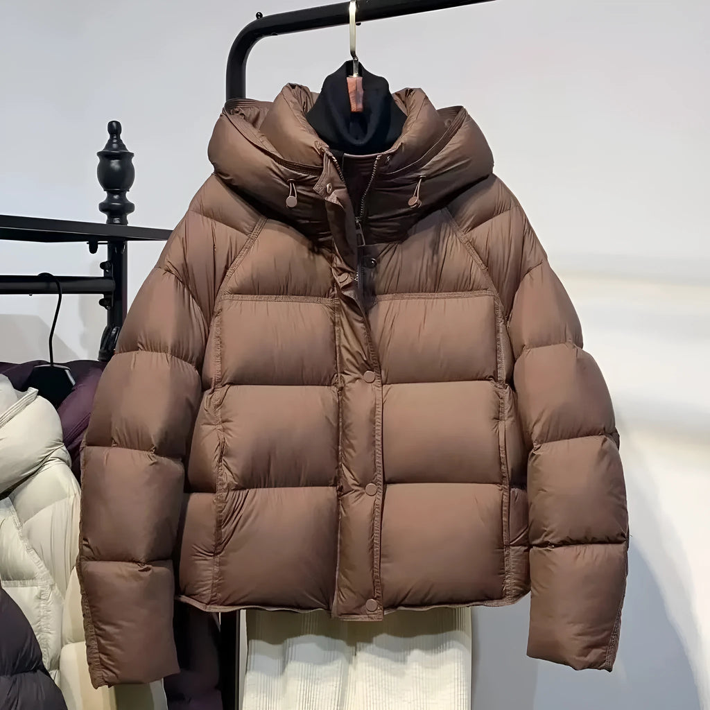 Women's puff down cotton jacket in black, beige, coffee, gray or purple, slim fit, long sleeve, sizes M to 2XL