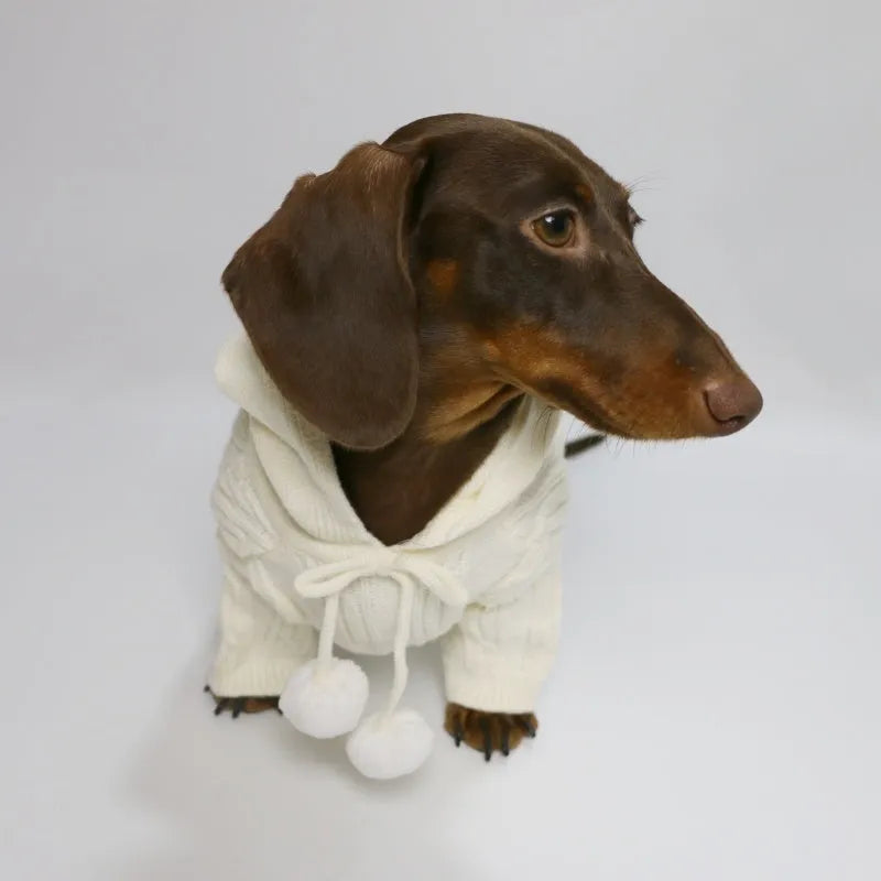 Autumn winter two-leg hooded sweater for dogs in beige colour showing hood and blended fabric