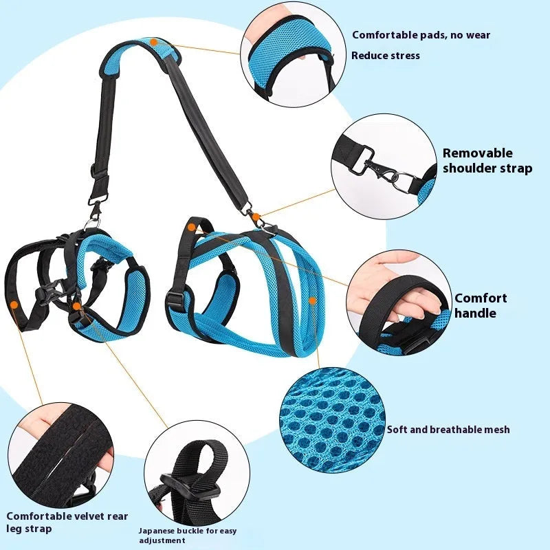 Blue polyester dog auxiliary strap hand held rope for walking training pet supplies