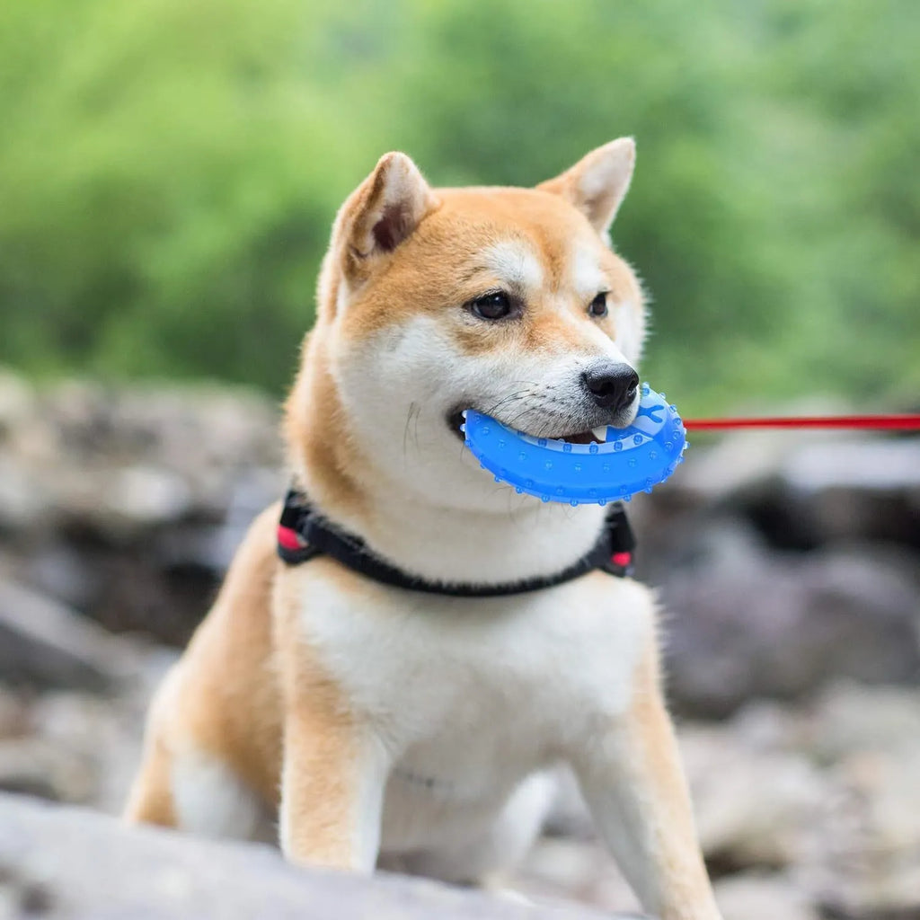 Freezable blue dog chew toy with textured surface and a cavity for treats.