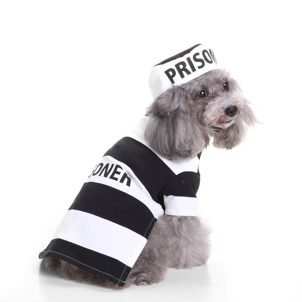 Christmas pet costumes for dogs and cats including Santa suit, penguin, and elf designs in multiple sizes