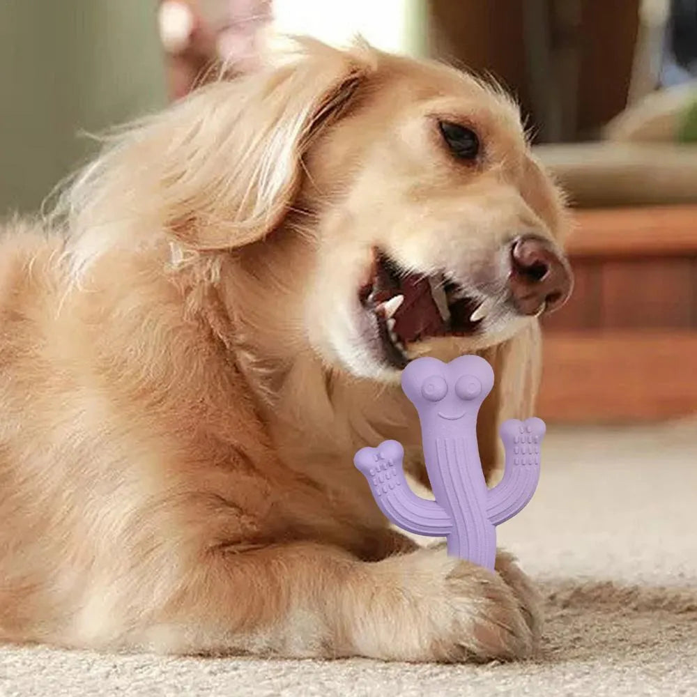 Cactus-shaped dog chew toy in bamboo fibre and rubber construction showing size comparison