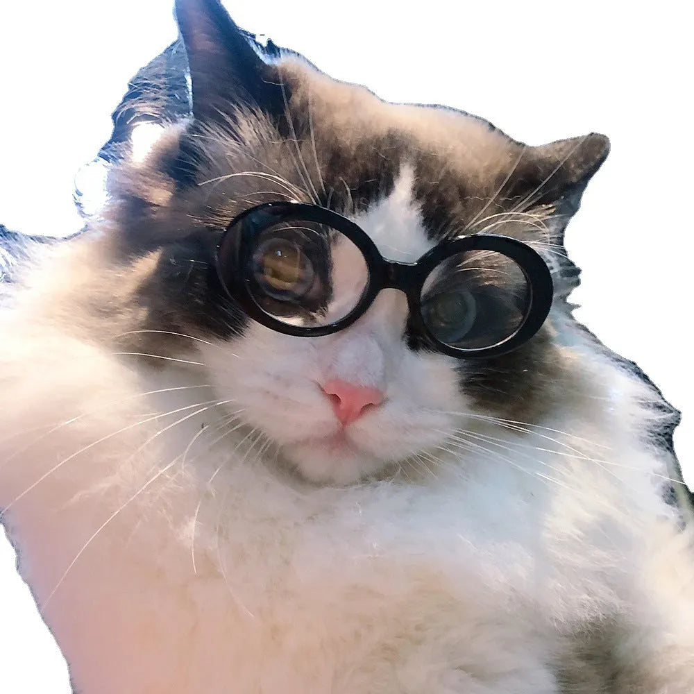 Pet dog cat multi-color sunglasses with round resin frame and UV380 PC lenses in black and gray