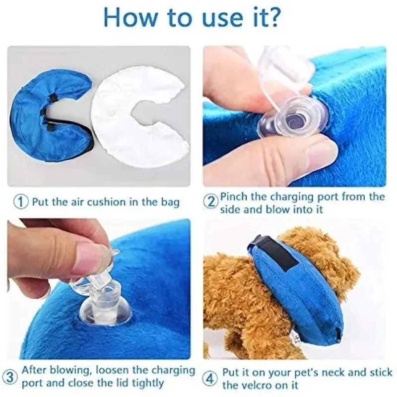 Blue inflatable soft recovery collar for a dog resting after surgery.