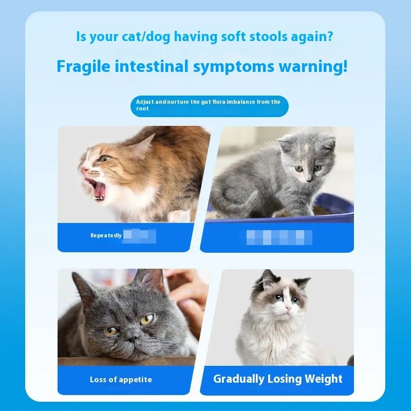 Bottle of 180 pet active probiotic tablets for cat and dog digestive health