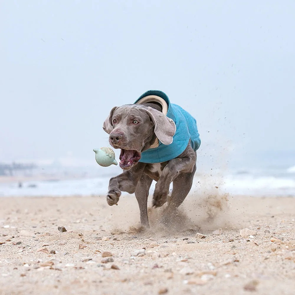 Polyester dog vest for medium large dogs in rose red, light blue, or grey colour