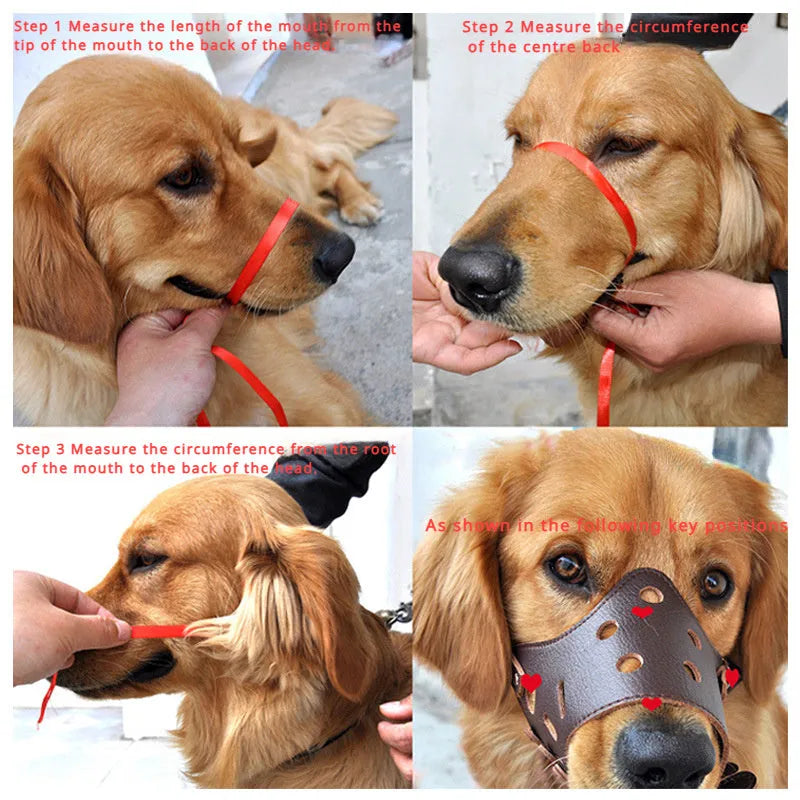 Black adjustable dog muzzle silencer for anti-barking and bite prevention training on a medium-sized dog