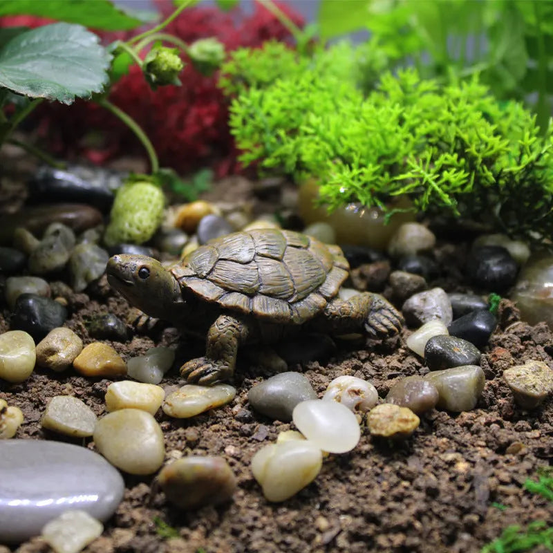 Micro landscape simulation little turtle resin decoration for miniature gardens