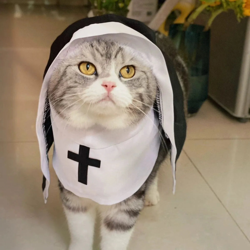 Black and white nun costume for small to medium dogs on Halloween