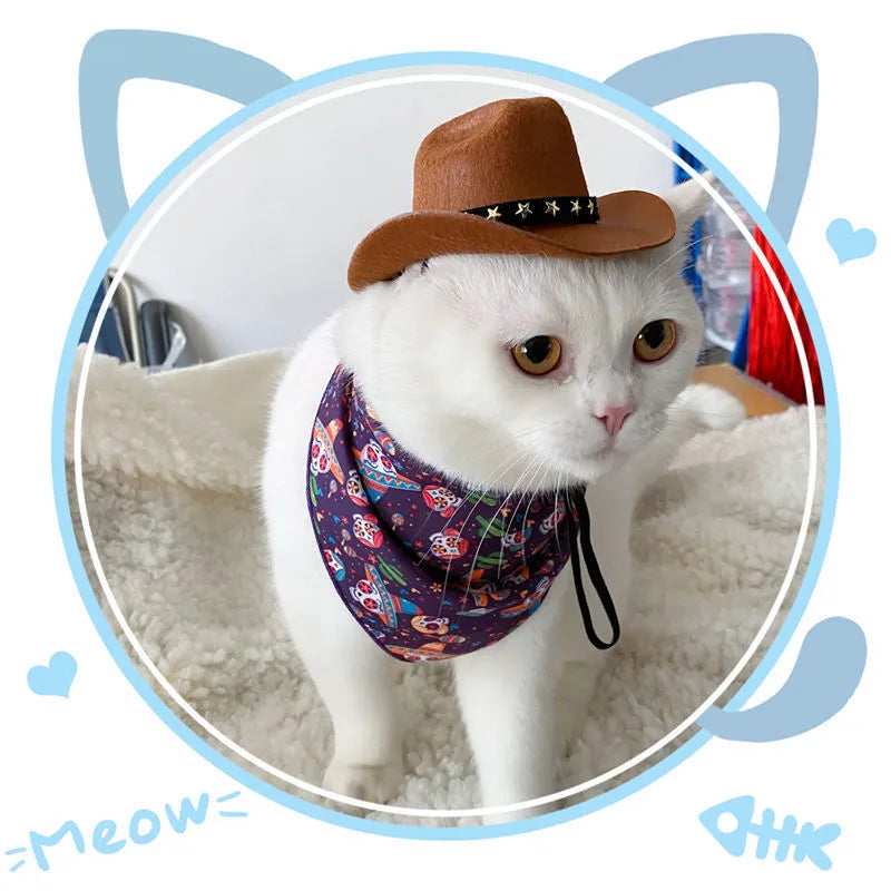 British cat cowboy hat in non woven fabric with ribbon details for small to medium cats