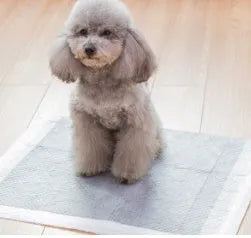 Disposable pet diapers for female dogs in heat, non-woven material, sizes S to XL, 100 50 40 25 count