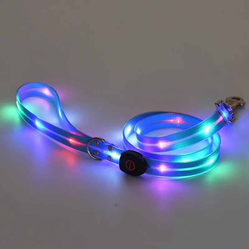Rechargeable LED luminous pet collar and nylon traction belt set in black with multicolour LED lights, USB charging port visible