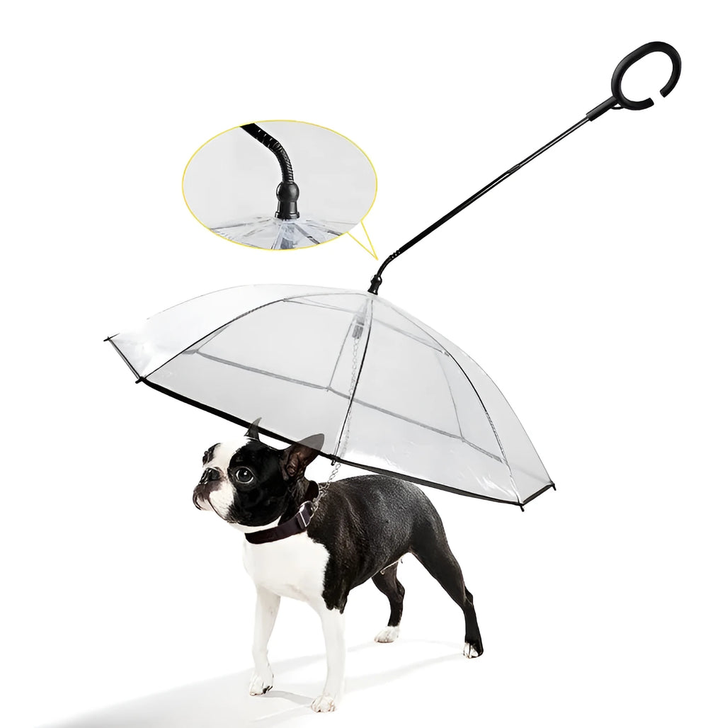 Transparent pet umbrella with white C-shaped handle, 70cm PVC canopy, and fibreglass frame for dog walks in rain