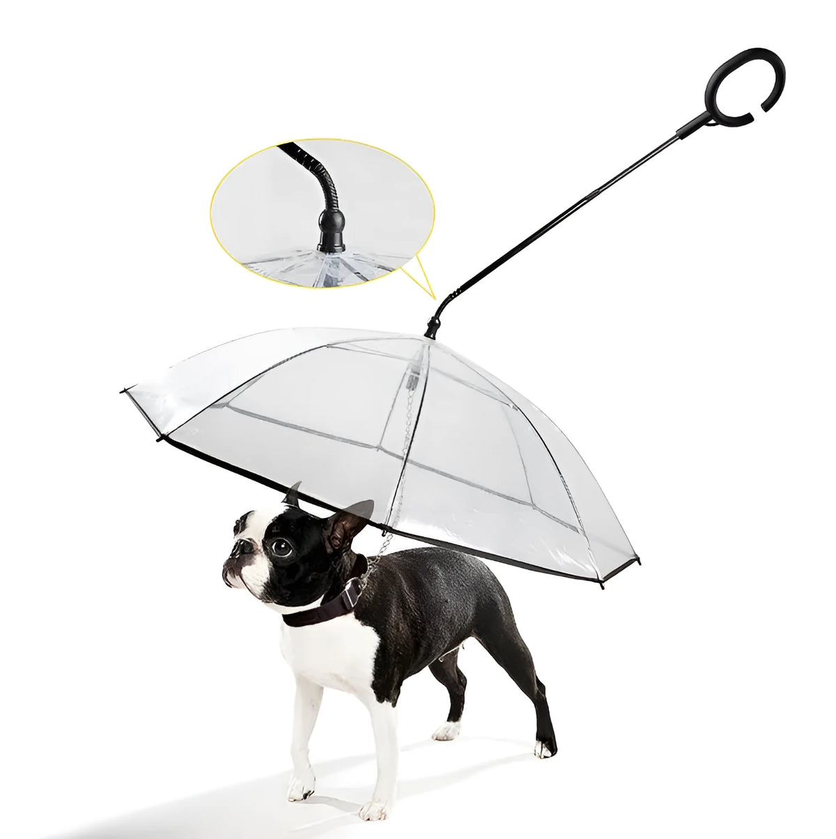 Transparent pet umbrella with white C-shaped handle, 70cm PVC canopy, and fibreglass frame for dog walks in rain