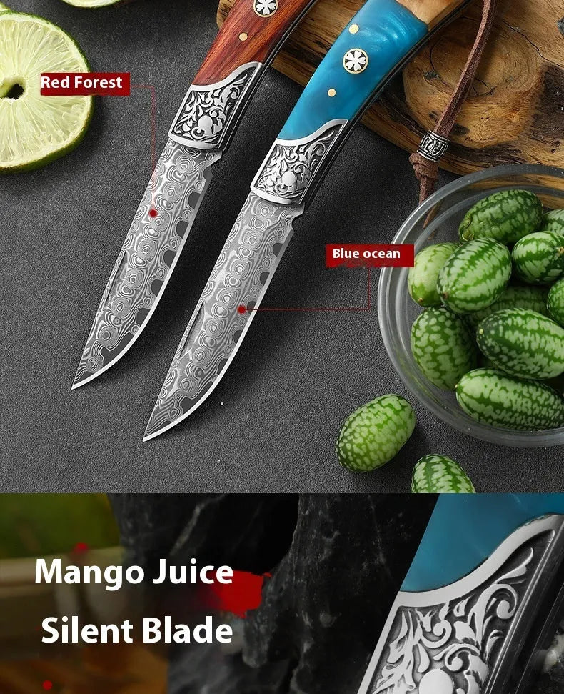 VG10 folding mini outdoor knife showing stainless steel blade and dovetail pattern in blue or red