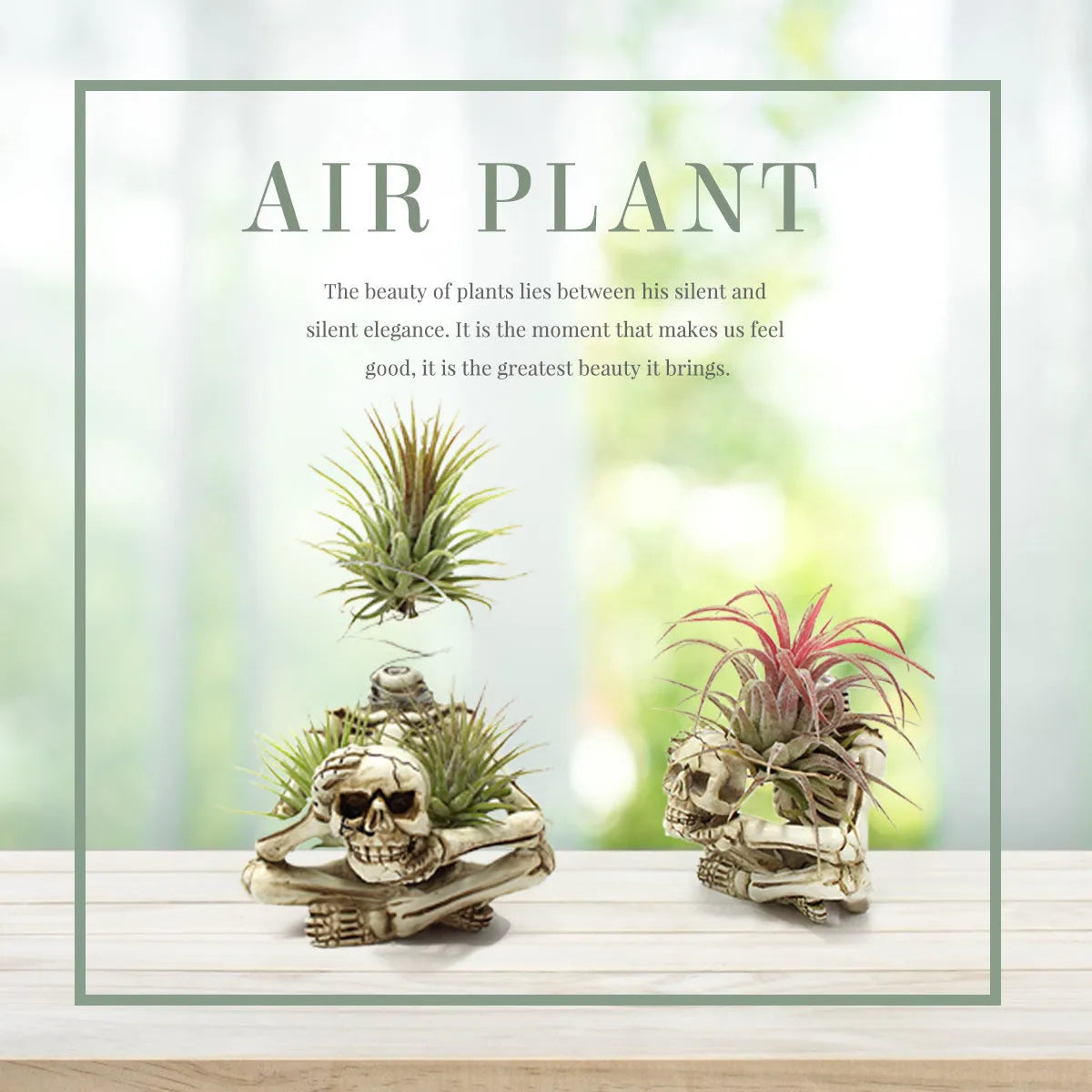 Skull-shaped soilless resin bracket for tillandsia air plants measuring 7x8x12.5cm with gothic design