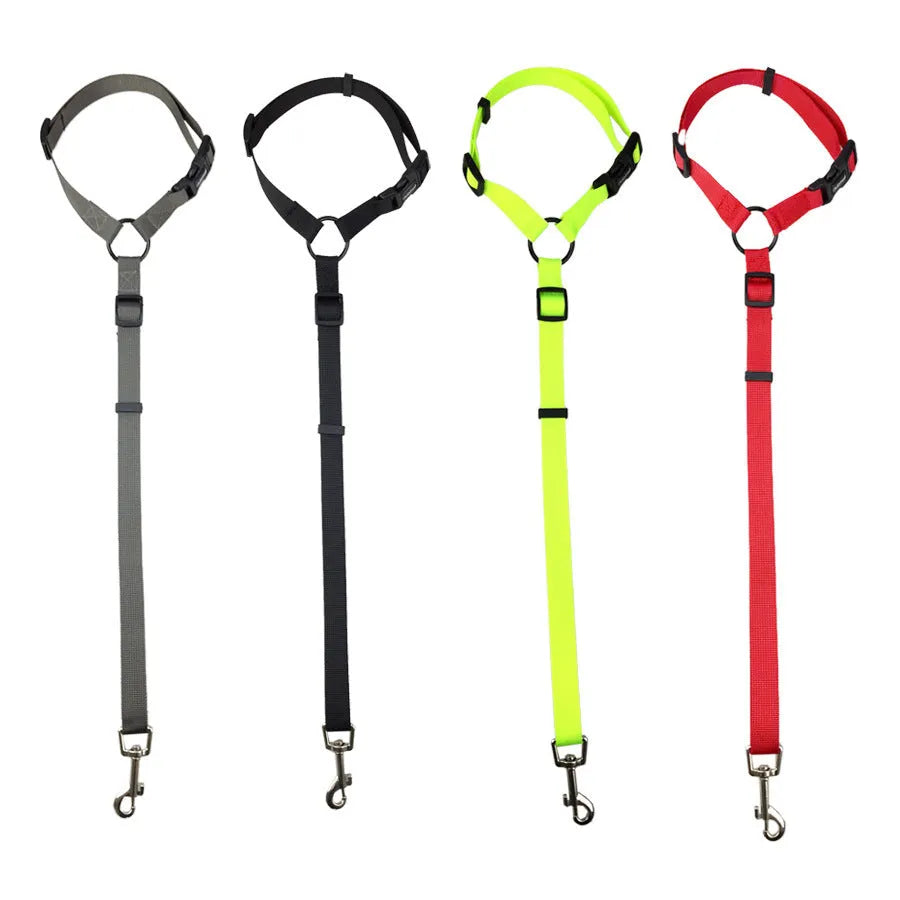 Pet safety leash made from nylon in expandable traction belt design, colour options include black