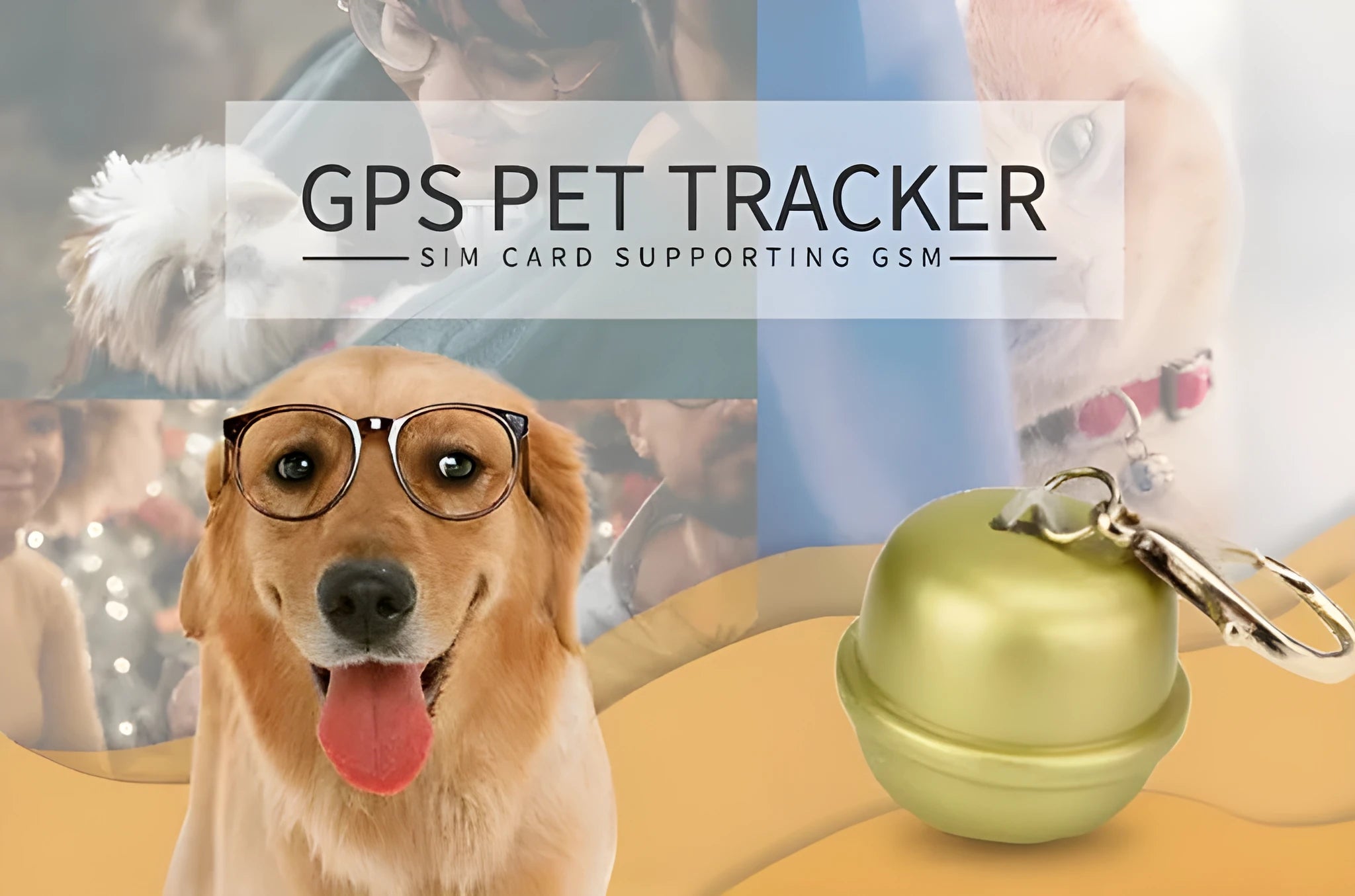 GPS tracker unit attached to a dog collar in green colour, showing a smartphone displaying a live map with pet location.