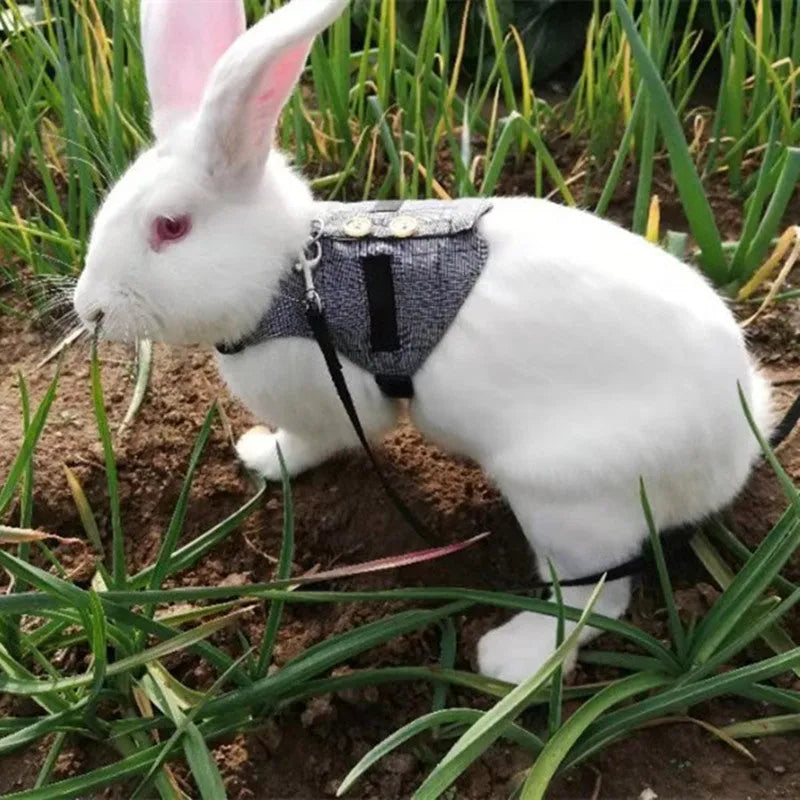 Grey cloth rabbit chest harness and leash set for small pets