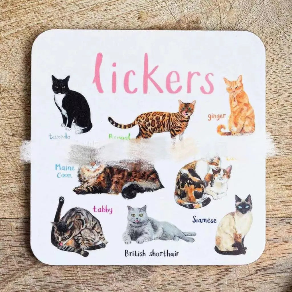 Set of 6 square bird pun coasters with PVC material, each featuring a different bird chart, 10x10x0.35 cm