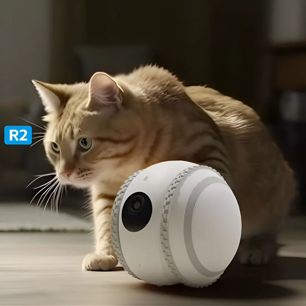 White plastic robot cat pet companion device with USB charging cable